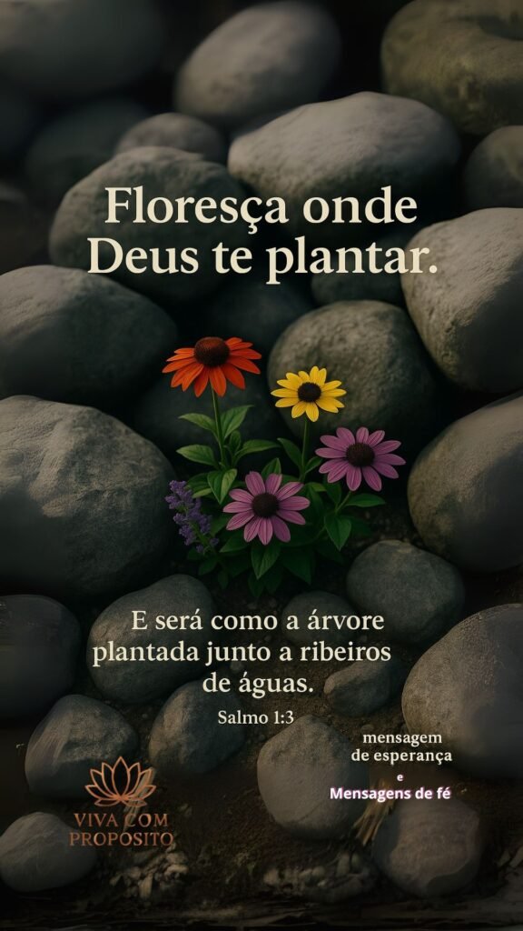 Flores coloridas entre pedras com mensagem bíblica do Salmo 1:3, lembrando que Deus nos faz florescer onde nos planta.