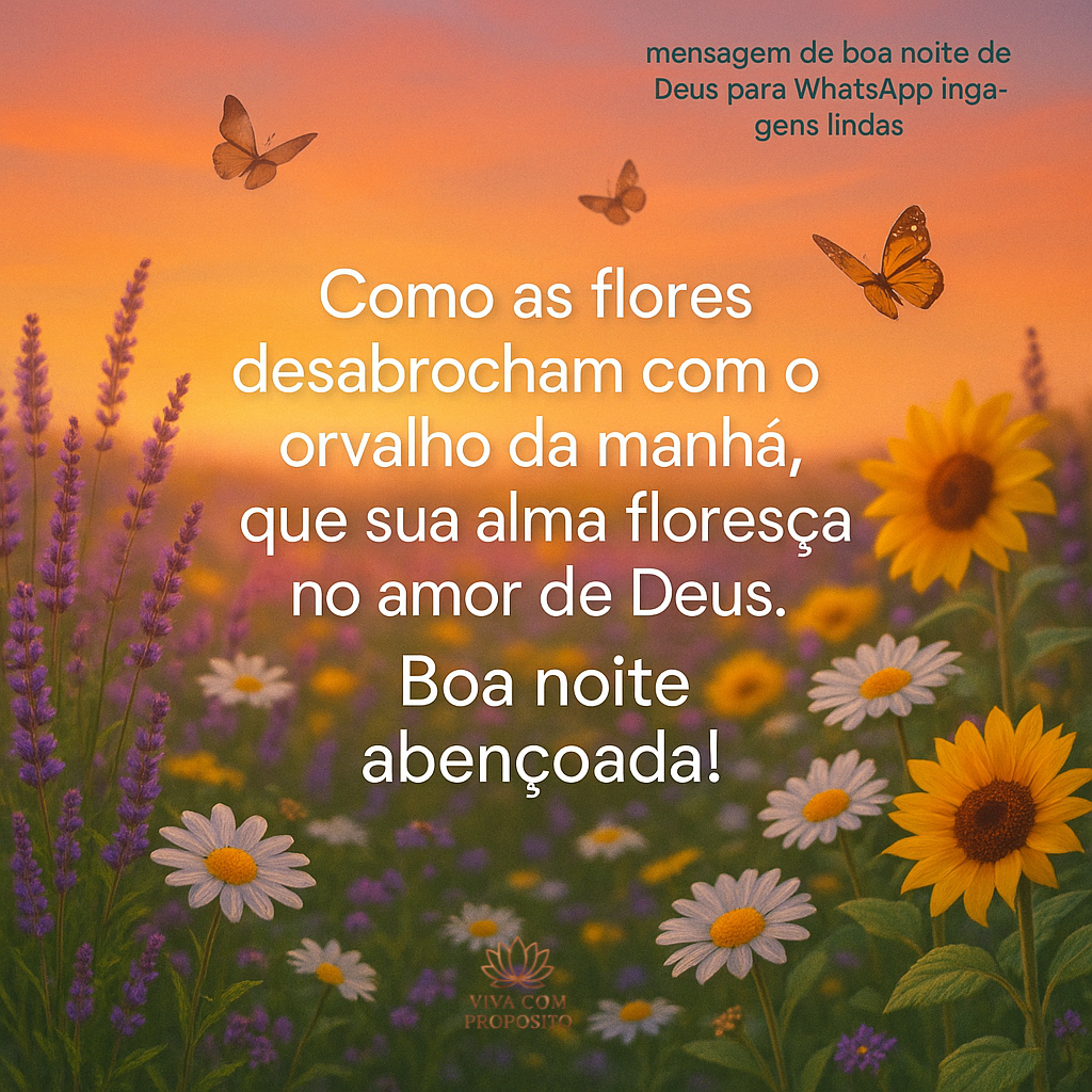 Campo florido com borboletas ao pôr do sol. Mensagem de boa noite de Deus para WhatsApp imagens lindas desejando alma florida no amor divino.