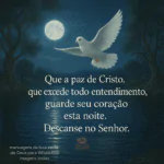 Pomba branca sob lua cheia transmite paz. Mensagem de boa noite de Deus para WhatsApp imagens lindas sobre descanso no Senhor.